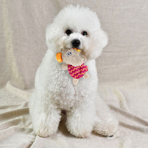 Pet all'ingrosso nuovo disegno animale a forma di cane cigolante giocattolo con <span class=keywords><strong>2</strong></span> cigolio ricaricabile per cani di piccola taglia e cuccioli di cane cigolante giocattoli - Product Image 6