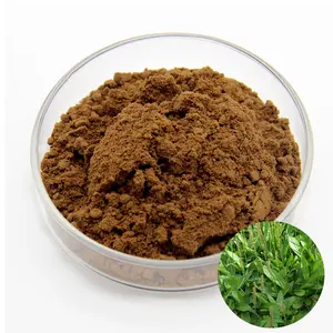 Trung Quốc Nhà máy cung cấp nhà máy chiết xuất chuối chiết xuất thảo mộc bột 5:1 Plantain Herb P.