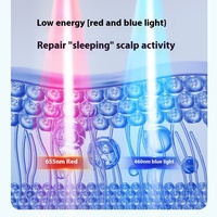 AINI Applicateur d'huile capillaire automatique à décharge liquide Peigne de massage électrique du cuir chevelu avec lumière rouge Distributeur de sérum d'huile pour la croissance des cheveux