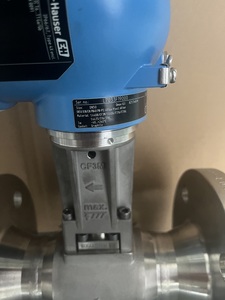 Débitmètre Endress+Hauser 7F2B50 avec sortie impulsion/fréquence/numérique - Directement du fabricant - Product Image 5