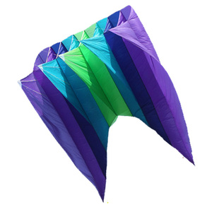 ปรับแต่ง9sqm <span class=keywords><strong>Big</strong></span> Pilot Inflatable Power Kite - Product Image 1