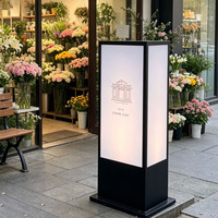 Boîte lumineuse publicitaire verticale en aluminium décorative rectangulaire à LED, installation facile