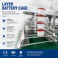 Système de cage à poules automatique à faible entretien pour l'élevage avicole moderne |   Cage à batterie en couches