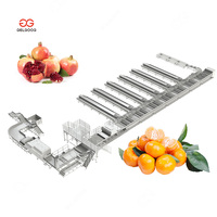 Zhengzhou Fruit- en Groente Opslag Zoete Aardappel Optische Sorteer- en Verpakkingsmachine Olijven Sorteren op Kleur Knoflook