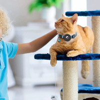 Bienvenue sur la page de demande de prix pour le collier de suivi GPS pour chats - Collier en nylon souple et durable réfléchissant