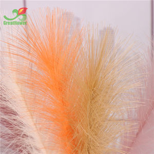 Bas quantité minimale de commande 61.5CM Long Herbe De <span class=keywords><strong>Pampa</strong></span> <span class=keywords><strong>Artificielle</strong></span> Haute Tiges Moelleuses Séchées Faux Grappes D'herbe Plante pour Mariage Vase Filler Décor - Product Image 6