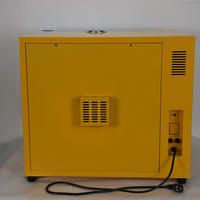 Stérilisateur à chaleur sèche IKEME 160-250 ° Stérilisateur à air chaud de laboratoire pour instruments chirurgicaux, verrerie et stérilisation en microbiologie