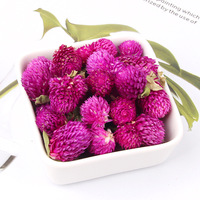 Penjualan terlaris herbal Cina alami Qian Ri Hong kedatangan baru kering Gomphrena globosa globe amaranth