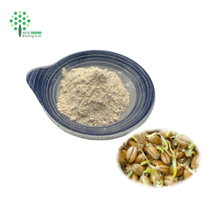 Extracto <span class=keywords><strong>de</strong></span> Germen <span class=keywords><strong>de</strong></span> <span class=keywords><strong>Trigo</strong></span> en Polvo con 1% <span class=keywords><strong>de</strong></span> Espermidina - Product Image 4