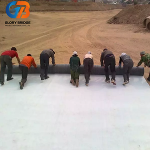 Geomembrana de HDPE Glory Bridge - Antipenetración, Antidesgarro, Duradera e Impermeable para Piscifactorías y Fundaciones de Presas con Garantía de Más de <span class=keywords><strong>5</strong></span> Años - Product Image 5