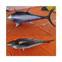 Hong kong — modèle de poisson gonflable en PVC étanche