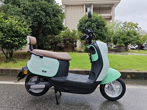 500W จักรยานนักเรียนสกู๊ตเตอร์เคลื่อนที่ได้ดีที่สุด GW-LN 500W-LN GW-LN GW-LN นักเรียน500W - Product Image 3