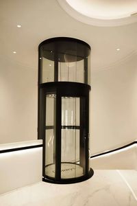 Китайский производитель: Умный панорамный лифт с круговым обзором для установки в виллах и жилых домах - Product Image 3