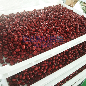 High Performance Fruit Drying Room Jujube Drying Oven Room Heated Drying Room Jujube Dehydrator Machine - Product Image 3