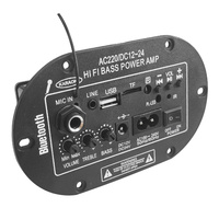 Dahili bluetooth MIC girişi ile yüksek sınıf C8 dijital güç FM radyo ev ses kullanımı için DC12V 24V AC110V 220V amplifikatör kurulu