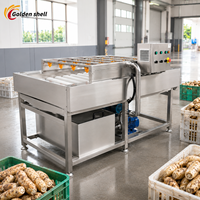 Industriële fruit- en groentewasmachine Automatische reinigingsmachine voor voedselverwerking