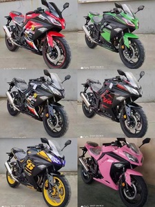 Motocicleta Deportiva Usada Hirlee/Heinekenn de 250cc a Gasolina, Modelo Double R de Alta Potencia con Velocidad Máxima Superior a 80km/h - Product Image 5