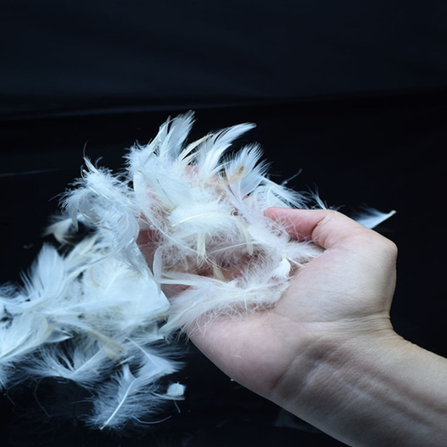 China Factory 2-4cm Washed White Goose Feather