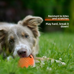 Nuova Generazione di Palla Giocattolo Intelligente Telecomandata per Animali Domestici, Resistente ai Morsi, Luminosa, Saltellante, Interattiva, Gioco Automatico per Cani - Product Image 3