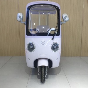 Nieuwe Innovatie 60V Elektrische Driewieler 1000W Vermogen Stalen Mobiliteits <span class=keywords><strong>Scooter</strong></span> Open Carrosserie 3 Wielen voor Passagier EEC DOT Gecertificeerd - Product Image 2