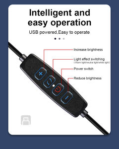 Kit d'éclairage photo à panneau plat 10 pouces 12 pouces 280 LED 352 LED avec trépied - Product Image 5