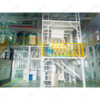 Usine de mouture de maïs personnalisée pour la production de semoule et de farine tamisée pour l'ugali au Kenya