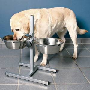 Kral uluslararası paslanmaz çelik köpek maması kasesi evcil hayvan besleme istasyonu