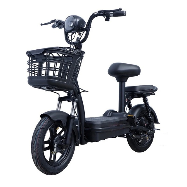 Model Prince------Hot Sale Electric Bike with Cheap Price for Sale Electric City Bike