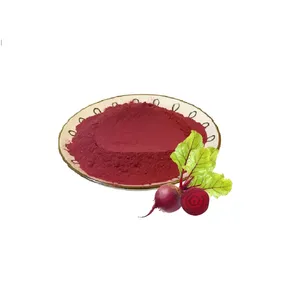 Sản phẩm hữu cơ qyherb Cung cấp Halal Kosher chứng nhận Màu Đỏ củ cải đường nước trái cây bột đóng băng khô củ cải đường nước trái cây bột giá tốt nhất mẫu miễn phí