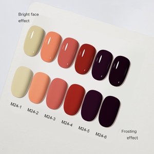 AILANUO Professional <b>Nail</b> Art Factory Supply OEM Customize Private Label UV Gel <b>Nail</b> Polish Soak Off Uv/led Gel Polish 6pcs Box - Product Image 3