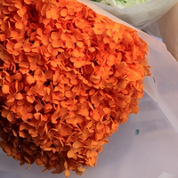Fleur séchée 20-25cm pour décoration intérieure, Hortensia préservé pour Anna Hydrangea, fournitures de bouquets de plantes décoratives