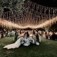 Luces LED de carámbanos IP67 de 10M/100M, blanco cálido, con efecto centelleante, de 30CM, para eventos al aire libre, celebraciones, resistentes a la intemperie, para decoración comercial de aleros.