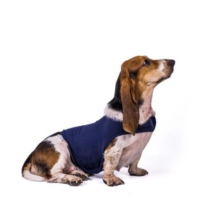 <span class=keywords><strong>Ropa</strong></span> de perro chaleco elástico negro camiseta de cachorro accesorios <span class=keywords><strong>ropa</strong></span> de abrigo de disfraces de mascotas para perros gatos - Product Image 1