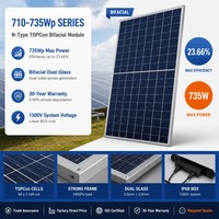 Panneau solaire Jinko Solar 710W Tiger Neo N Type HOT 3.0 Anti PID Haute performance 1% de dégradation en première année Module solaire photovoltaïque