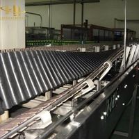 Sistema transportador de cadena de listones ajustable de acero inoxidable para descarga de botellas en líneas de codificación de fecha de botellas PET