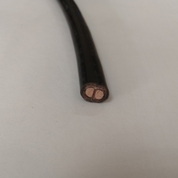 Cable de Alimentación Flexible Blindado de 2x10/2.5mm2 para Estación Base, CABO Montflex-e AFT 0.6/1KV, Aislamiento XLPE, Revestimiento Exterior de PVC