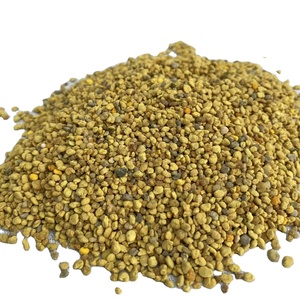 Polline d'Api di Colza Puro di Alta Qualità in Granuli per Apicoltura e Consumo Umano, Fornitura Diretta dalla Fabbrica - Product Image 1