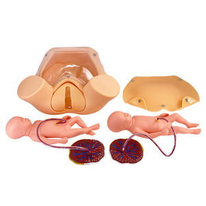 Simulateur de Mannequin de <span class=keywords><strong>Femme</strong></span> <span class=keywords><strong>Enceinte</strong></span> en PVC Avancé avec Jumeaux Poupée Bébé pour la Formation à l'Accouchement en Sciences Médicales - Product Image 2