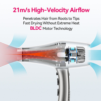 Sèche-cheveux professionnel FirePhoenix F1 Pro Max Salon 3000W 21m/s Ionique Cordon de 3,5m Coque en plastique