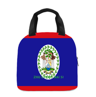 Sac à lunch isotherme avec drapeau de la Dominique, parfait pour les enfants, la maternelle, l'école, le travail, les voyages, les pique-niques, facile à transporter, unisexe