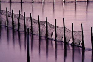 Nhà máy trực tiếp giá rẻ màu FX lọc hiệu ứng đặc biệt kính lọc tương thích với máy ảnh cho vật liệu nhựa nhiếp ảnh - Product Image 4