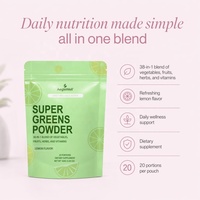 OEM ODM Super Greens Poeder Citroensmaak, Fruit Groente Kruiden Vitamine Complex Dagelijkse Wellness Blend, Groene Superfood Supplement