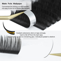 Vente en gros Extensions de cils plats J B C D Curl Soft New Ellipse Forme plate Extensions de cils de volume
