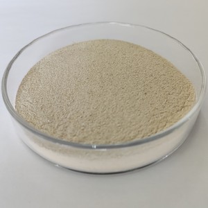 Proteasa de Ácido <span class=keywords><strong>Habio</strong></span> en Polvo 300,000U/g, Enzima Proteolítica Ácida de Alta Eficiencia - Product Image 2