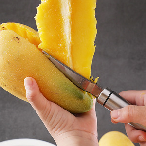 Nouveauté 304 outil de cueillette de fruits en acier inoxydable multifonctionnel ananas mangue couteau semoir à fruits - Product Image 1