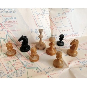 Pions en bois naturel lisses et polis pour jeux de société, apprentissage des mathématiques et tri – Jeu de pions en bois - Product Image 1