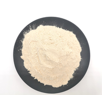 Poudre d'ail blanche pure importée de haute qualité, coupe-ail, poudre d'ail déshydratée
