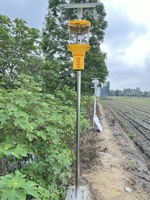 Lámpara Antimosquitos Seedafarm de Alta Frecuencia con Luz Negra LED y Energía Solar para Control de Plagas Agrícolas en Huertos y Estanques de Peces