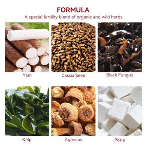 Thé de fertilité féminine aux ingrédients naturels Chinaherbs, régulation hormonale de l'utérus, thé en sachet de reconstitution à base de plantes - Product Image 6