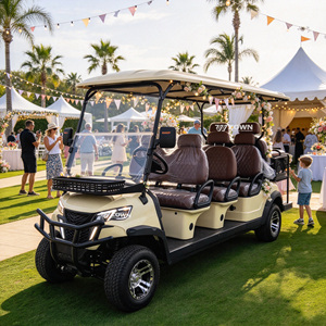 Carrito de Golf Eléctrico de 2 Plazas a Precios Bajos, Batería de Litio de 48V, Controlador con Certificación CE, Diseño Creativo, Alcance de 90 km, 30-50 km/h - Product Image 1